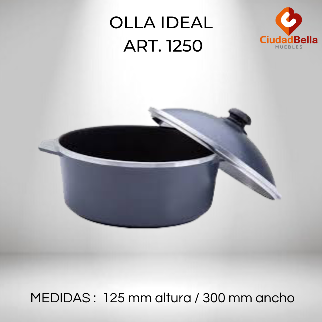 1250 - Olla ideal antiadherente GRIS