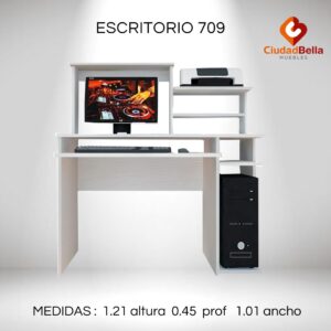 ESCRITORIO DE COMPUTACION 709